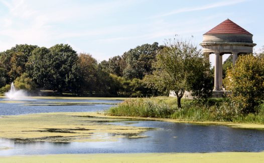 全美TOP美食市集之一！费城东南亚市场到底有多香？飞什么东南亚！让你泰老越风味一次吃个遍！